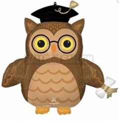 owlgrad