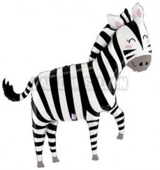zebra50