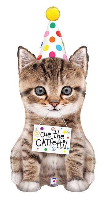 Catfetti Birthday