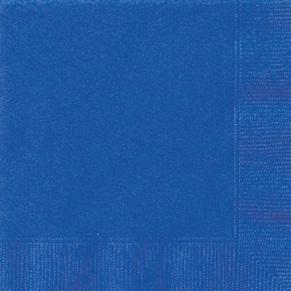 Blue Dinner Napkin
