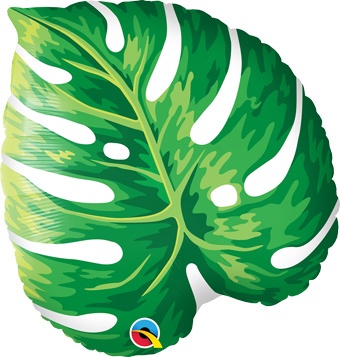 Philodendron Leaf