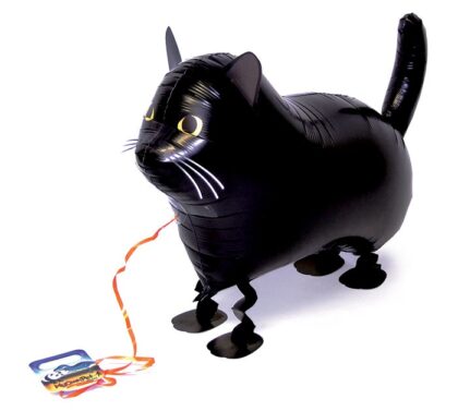 Black Cat Pet