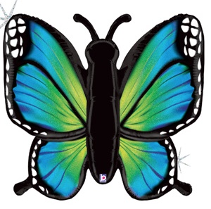 Blue Green Butterfly