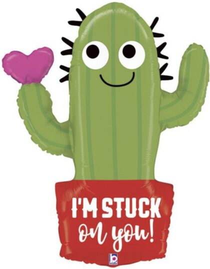 Valentine Cactus
