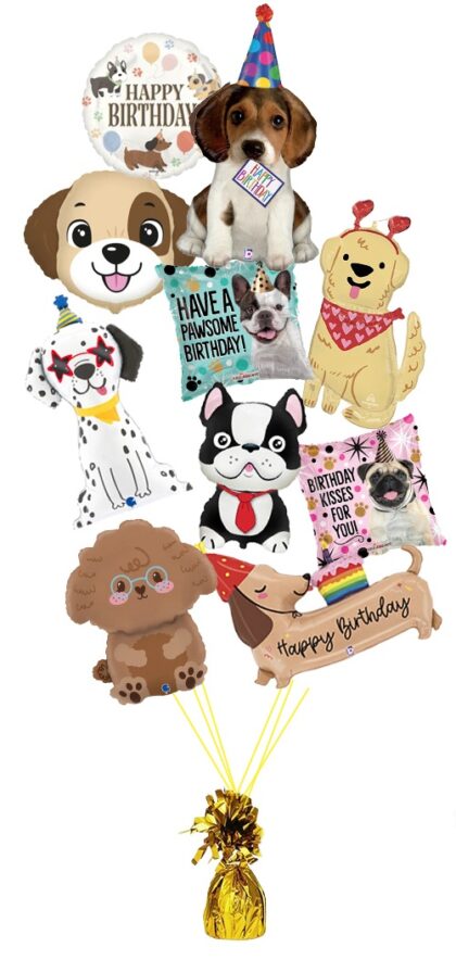 Dog-Gone Birthday