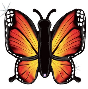 Monarch Butterfly