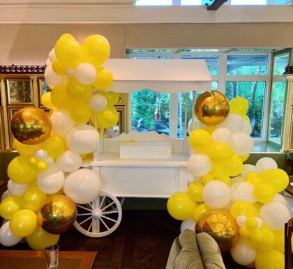 Sunshine Garland