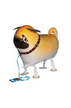 Pug Pet