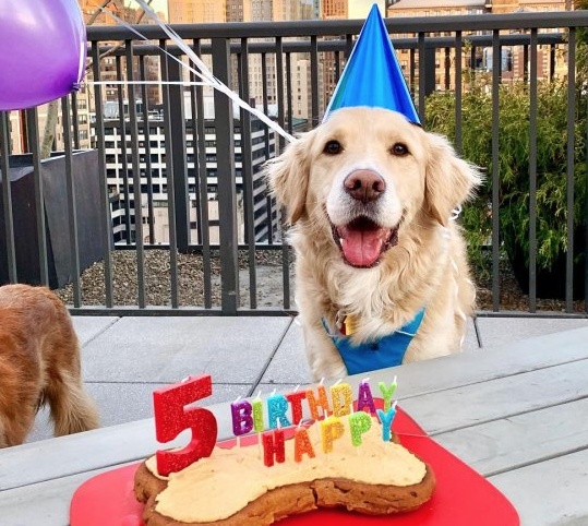 Happy Birthday Glitter Candles - Image 2
