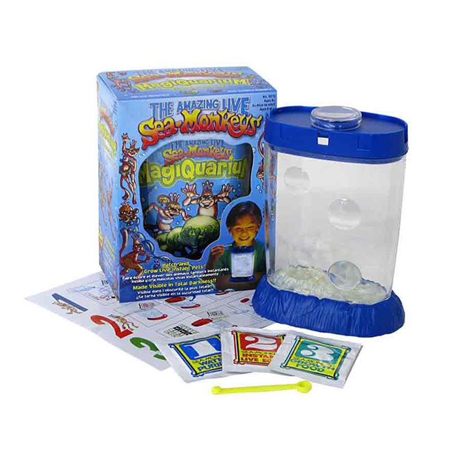 The Original Sea Monkeys - Image 2
