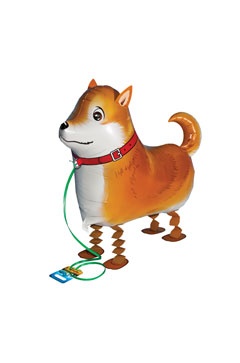 Shiba-Inu Pet