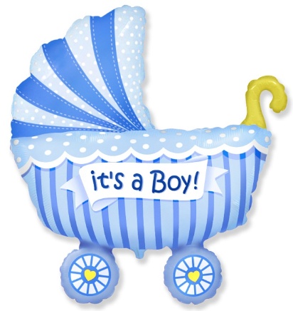 Baby Boy Stroller