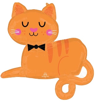 Tabby Cat